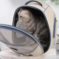 Breathable and Convenient Cat Bag for Going Out Foldable Shoulder High-value Large-capacity Pet Bag