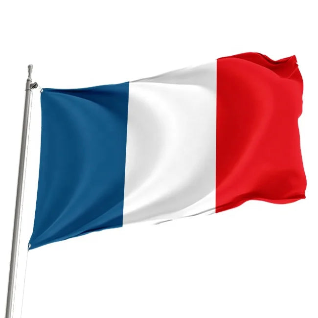 Factory Custom Any Size French Flag 3x5 Feet Thick Outdoor National Day Ball Game Decoration Custom French Flag