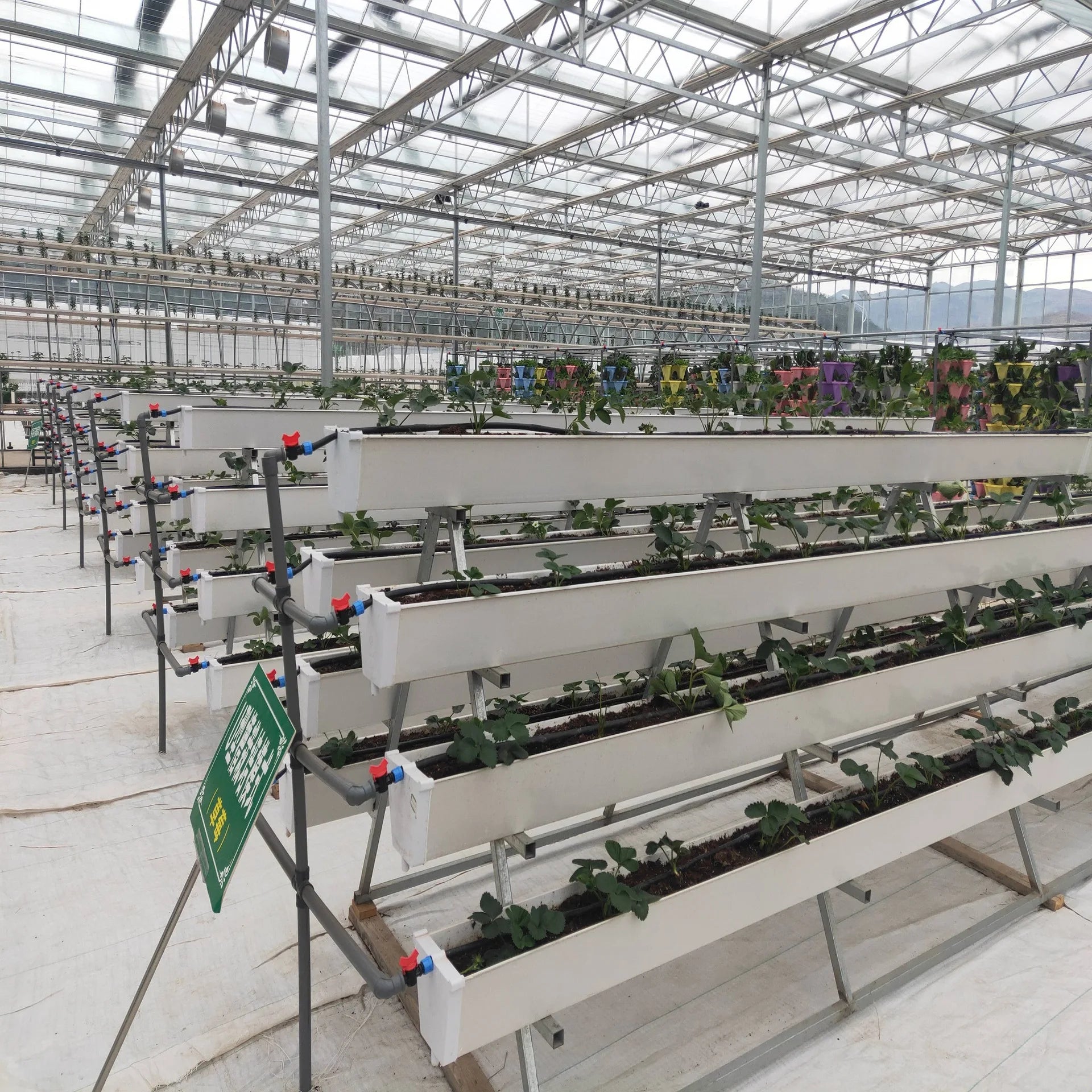 Growing System Hidroponia Vertical Hidroponic System Hydroponic Tomato System