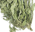 Raw Natural Green Color Common Greater Plantain Plant Cuts Dried Plantain Leaf Organic