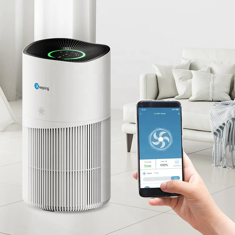 Hot Selling OEM Portable Personal Mini Air Purifier HEPA Filter for Home
