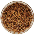57% Protein A+ Grade 100% Natural Yellow Mealworms