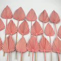 's Hot Seller Decoration Natural Dried Flowers Dry Palm Leaves Palm Spears Dried Fan for Cake Topper Decoration