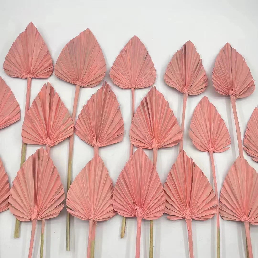 's Hot Seller Decoration Natural Dried Flowers Dry Palm Leaves Palm Spears Dried Fan for Cake Topper Decoration