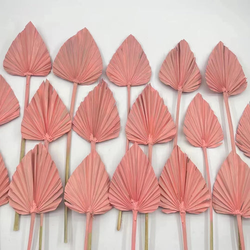 's Hot Seller Decoration Natural Dried Flowers Dry Palm Leaves Palm Spears Dried Fan for Cake Topper Decoration