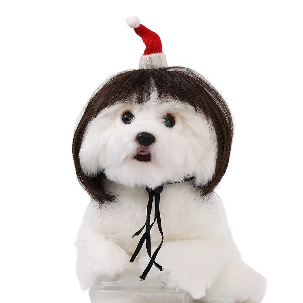 Custom Pet Cosplay Wigpet Wig Adjustable Costume Pet Fun Headwear Costume Pet Dress up