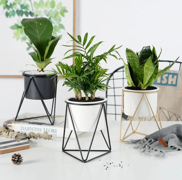 Ins Nordic Triangle Iron Art Simple Succulent Iron Frame Circular Geometric Flower Rack Ceramic Flowerpot Green Flower Set