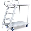 Supermarket Library Warehouse Climbing Ladder MegaBDM