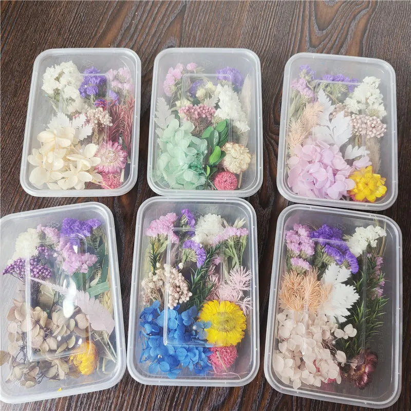 Real Mix Box Dried Flowers for Resin Jewellery Dry Plants Pressed Flowers Making Craft DIY Accessories