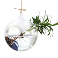 Dropshiping Glass Large Hanging Planters Water Air Plant Succulent Containers Terrarium Kits 2 Holes With Strings Rope for Home