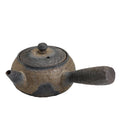 Earthenware Side Handle Pot Japanese Style Handmade Vintage Pao Cha Hu Porcelain Kung Fu Tea Set Single Teapot Tea