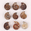 DIY Gems Raw Natural Snail Fossil Crystal Quartz Gravel Stone Pendant Gemstone