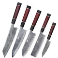 FINDKING 5 PCS Professional Japanese AUS-10 Damascus Steel Knife Set Kiritsuke Santoku Nakiri Paring Chef Kitchen Knife Set