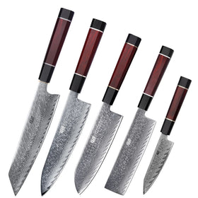 FINDKING 5 PCS Professional Japanese AUS-10 Damascus Steel Knife Set Kiritsuke Santoku Nakiri Paring Chef Kitchen Knife Set
