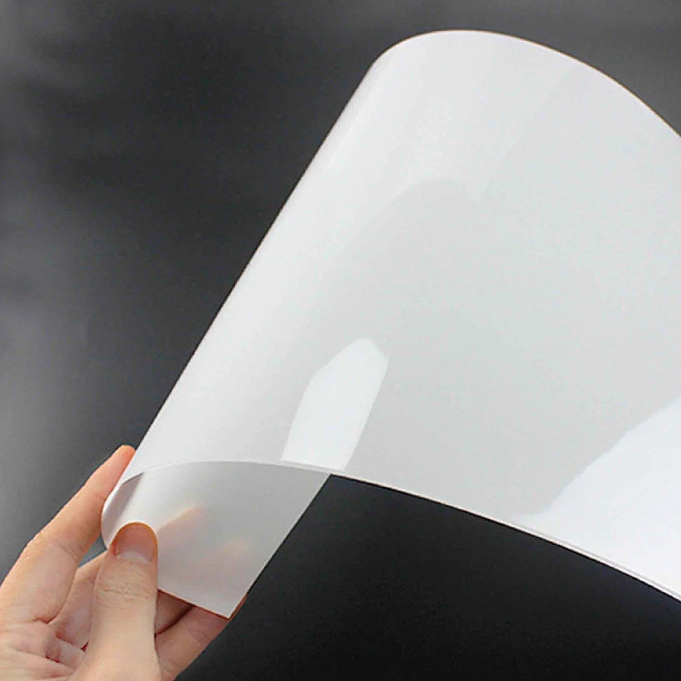 Supercolor Pet Film Animal A4 Size Double Side DTF Digital PET Film Self Adhesive Reflective Film Printer Modified L1800 Printer