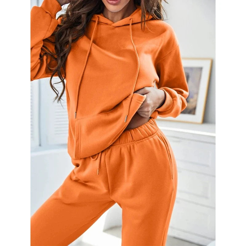 F230338 Clothing Manufacturers Custom Workout Velvet 2 Piece Women Set Crop Top Oversize Hoodie Sweatpants and Hoodie Set