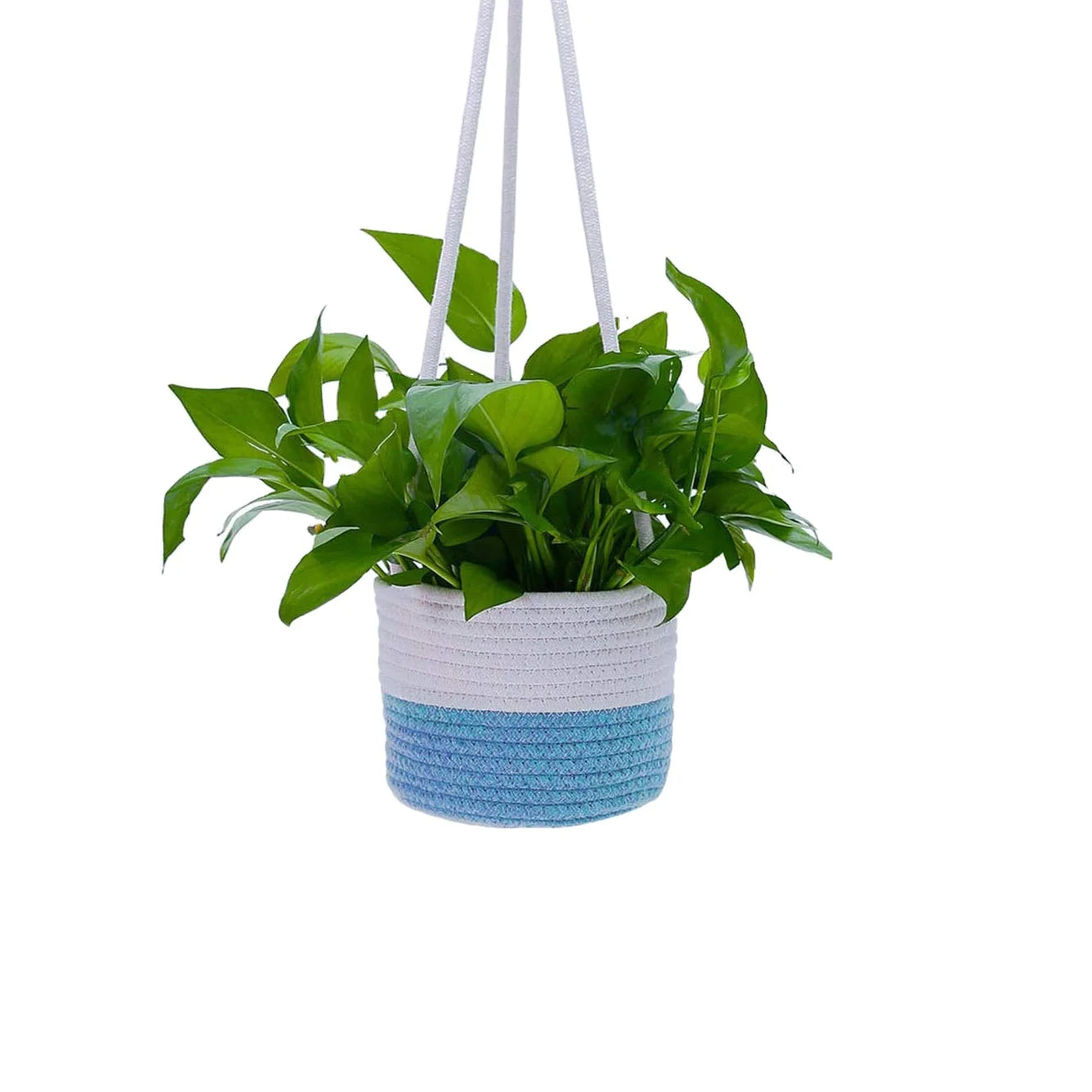 KUYUE 2 Long Rope Hanging Plant Flower Baskets