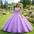 Luxury Quinceanera Dresses Princess Ball Gown Off Shoulder Beads Sweet 16 Dress Party Wear 6583
