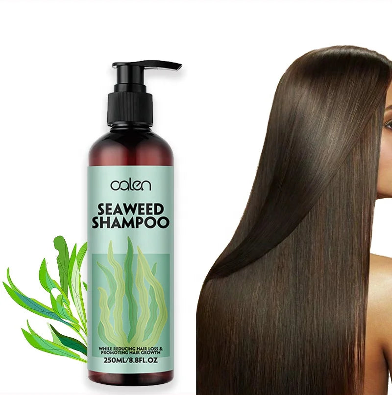 OALEN Custom Logo Hair Care Moisturizing Strengthen Hair Roots Seaweed Shampoo