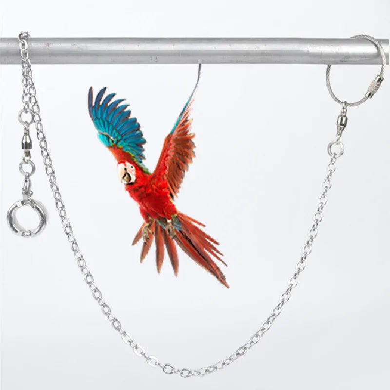 Wholesale Stocked Fly Strong Bracelet Birds Leg Rings with Chain Set