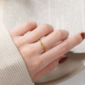 Rainbowking Ins Niche Design Sense Fashion Cold Wind S925 Sterling Silver Ring Plain Circle Twist Double Ring Fine Jewelry Ring