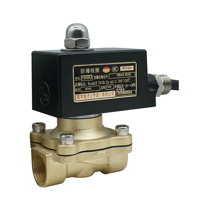 RFS 2W160-15-EX Explosion-proof 2/2 Way Normally Closed Solenoid Valve 12v Ac Dc