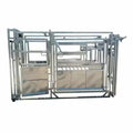 Heavy-Duty Automatic Cattle Crush Weighing Scale Powder Coated Fence for Livestock Management Eco-Friendly Construction Site 3D