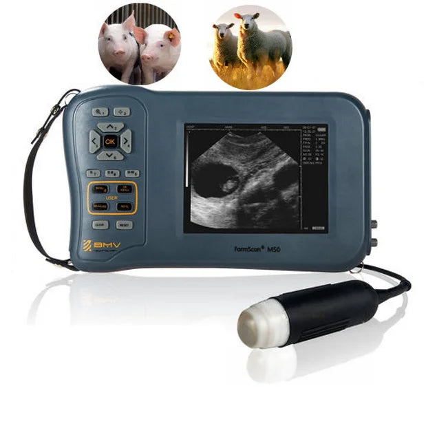FarmScan M50 L60 Portable Veterinary Ultrasound Scanner BMV Ecografo Bmv Sheep Veterinary Instrument