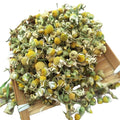 Wholesale Natural Dried Chamomile Blossom Tea Relax Sleep Flavor