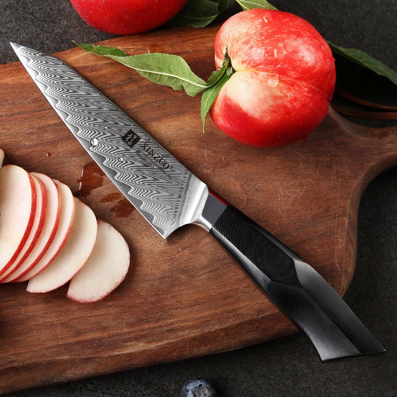 Sharp 5 Inch Damascus Steel Kitchen Utility Fruit Knife With Premium G10 Handle MegaBDM
