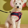 MIDEPET Adjustable Outdoor Dog Harness Fashion Designer Plain Nylon Pet Harness with Cute Bow Decoration Top Seller Supplier
