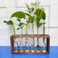 Modern Glass Tube Planter with Wooden Stand and Propagation Station for Hydroponic Plants Garden & Home Use