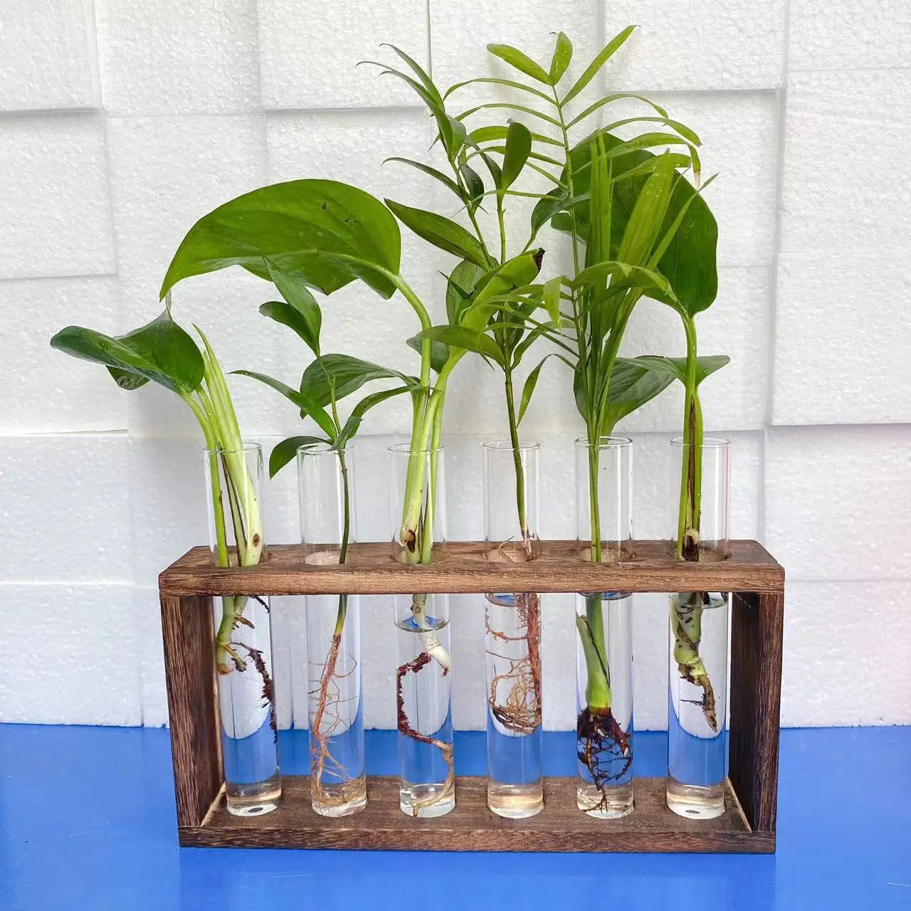 Modern Glass Tube Planter with Wooden Stand and Propagation Station for Hydroponic Plants Garden & Home Use