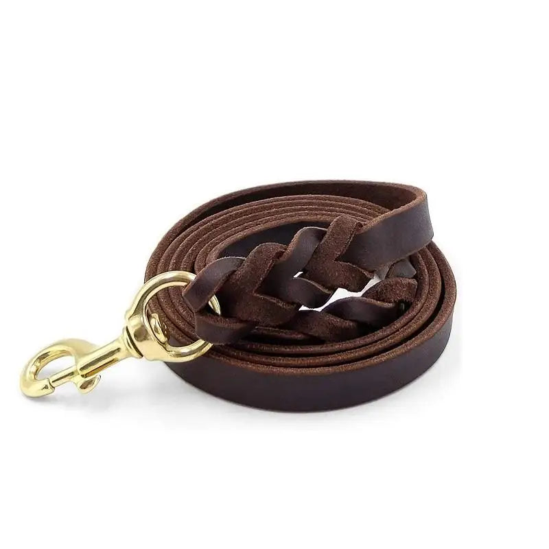Sturdy Braided Leather Dog Pet Leash Sennier Stocked Training Walking Collar with Bowknot and Letter Pattern