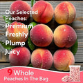 Factory Supply Freeze-Dried Sweet Peach Cubes Sliced Honey Peach Preserved Snack Fruit Vegetable Water Bulk Wholesale