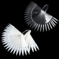 Nail Sample Sticks Clear Nature Stiletto Nail Color Display Tips Nail Art Polish Practice Board Tip With Metal Rings