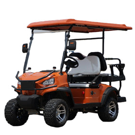 6 Passengers 4x4 Electric Golf Carts for Sale USA