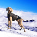 Wholesale Waterproof Fabric Warm Winter Reversible Dog Pet Harness Jacket Clothes Dog Coat