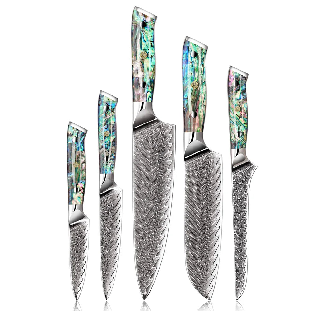 Abalone Shell Resin Handle Chef Utility Santoku Boning Knife Luxury Damascus Steel Knives VG10 Kitchen Knife Set