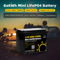 Poland EU Stock Free Shipping 12V 24V 100Ah 200Ah Lifepo4 12.8V LFP Lithium Iron Phosphate Camping Car RV Solar Storage Battery