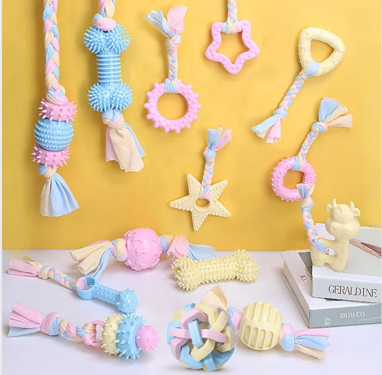 Wholesale Manufacturer TPR Rubber Chew Cat and Dog Toys Durable and Sustainable Funny Cute Interactive Set with Multi-Shapes