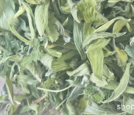 Organic Raw Dried Natural Green Leaves Trigonella Foenum-graecum Fenugreek Leaf for Herb