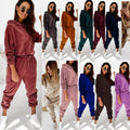 2021 Wholesale Women Autumn Winter Wear Hoodies + Long Pants 2 Piece Set Solid Color Pleuche Velvet Long Sleeve Casual Suit