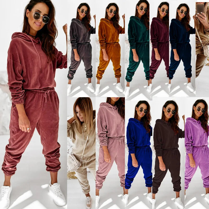 2021 Wholesale Women Autumn Winter Wear Hoodies + Long Pants 2 Piece Set Solid Color Pleuche Velvet Long Sleeve Casual Suit