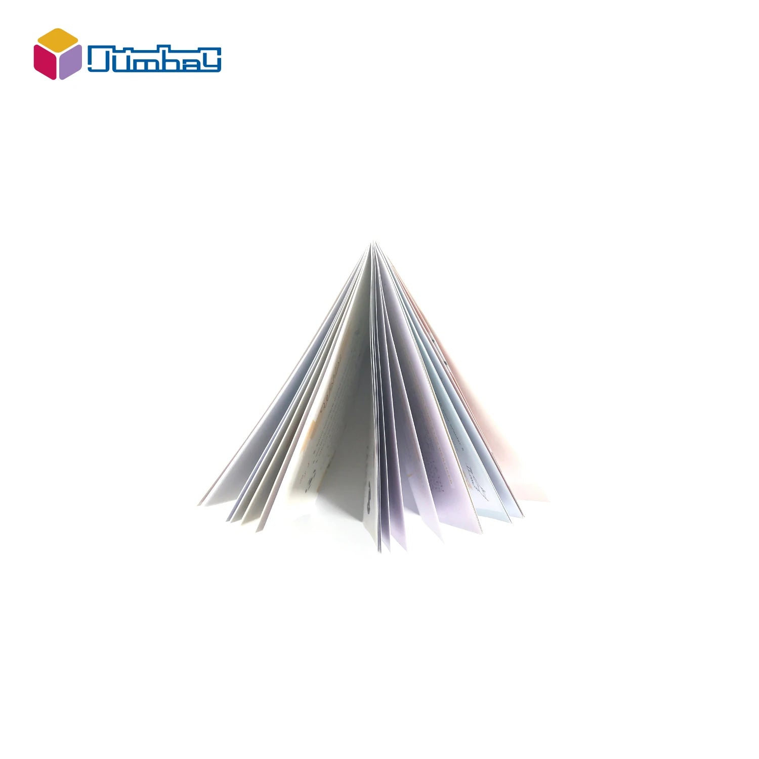 Personalized Professional Customization Custom Printing Flyer Leaflet Booklet