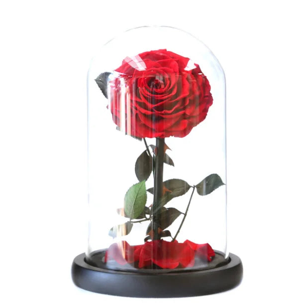 Wholesale  Preserved Roses a Grade Rose Glass with  Gift Boxfor Wedding Valentine's Day Gifts Box