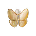 WKT-WP003 High Grade Wholesale Elegant Popular Cocoon Breaking Butterfly Natural Shell Brooch Gift Corsage