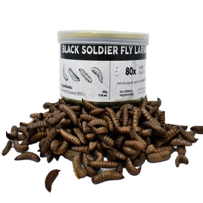 Top-Class Grade 40% Qingdao China BSF Larvae Worms for Fish and Dogs