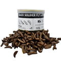 Hot Selling Black Soldier Fly Larvae Dried Insects