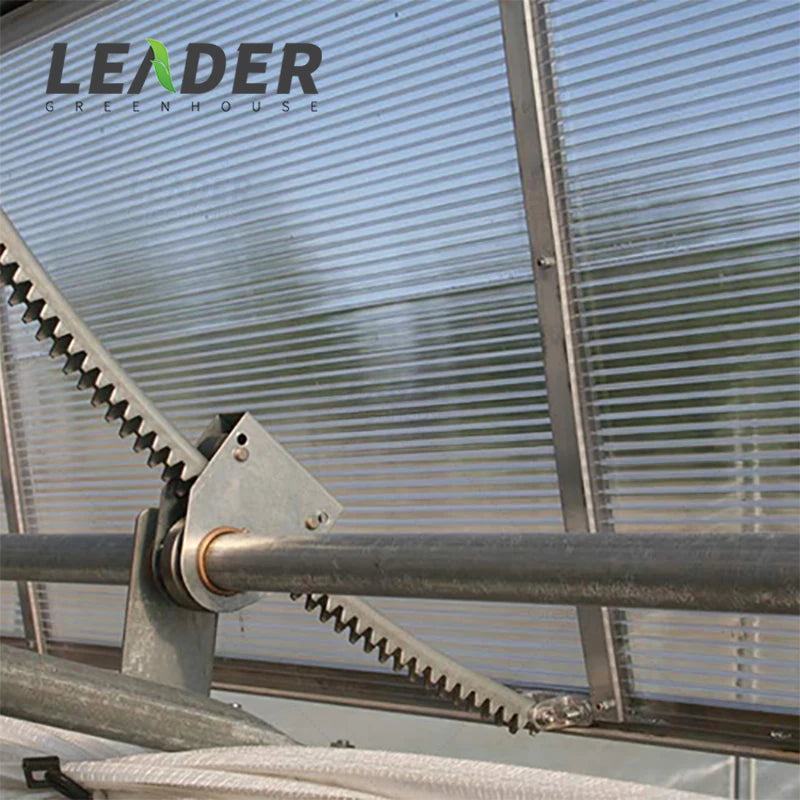 Greenhouse Accessories Galvanized Rack and Pinion Gears for Roof Ventilation and Shading System